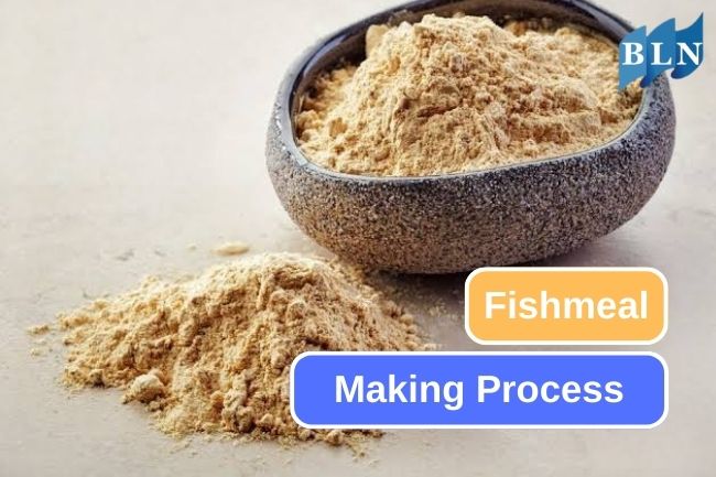 Learn about Fishmeal Making Process